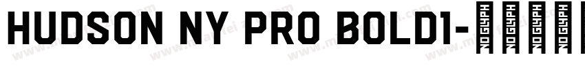 Hudson NY Pro Bold1字体转换
